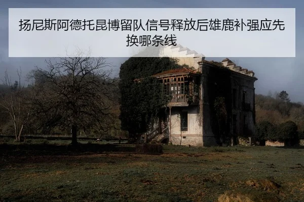 yang-ni-si-a-de-tuo-kun-bo-liu-dui-xin-hao-shi-fang-hou-xiong-lu-bu-qiang-ying-xian-huan-na-tiao-xian-2-951.jpg
