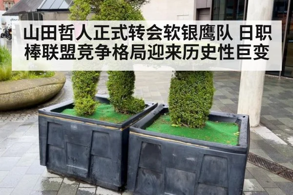 山田哲人正式转会软银鹰队 日职棒联盟竞争格局迎来历史性巨变