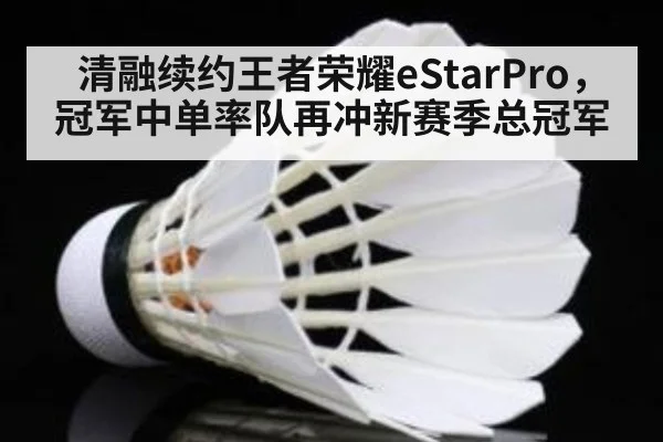清融续约王者荣耀eStarPro,冠军中单率队再冲新赛季总冠军