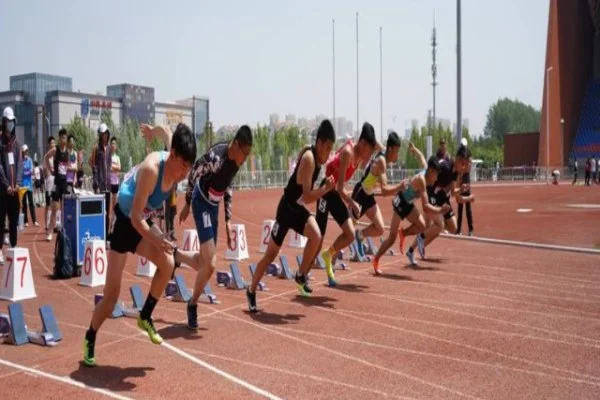 樊振东出战德国乒乓球甲级联赛 萨尔布吕肯冲冠前景与关键变量解析